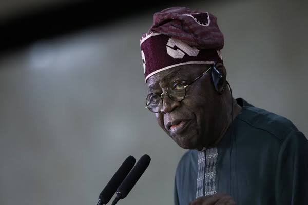Tinubu Declines Meeting with South African Envoy, Directs Delegation to Foreign Affairs Minister